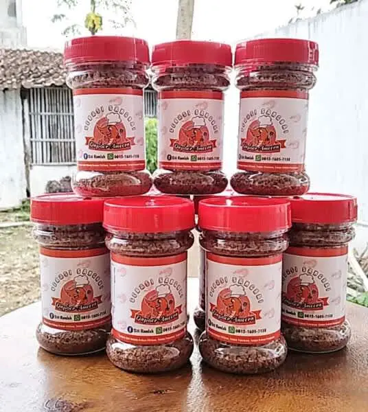 Tekad Pemuda Asal Puger Bangun Bisnis Sumber Laut.