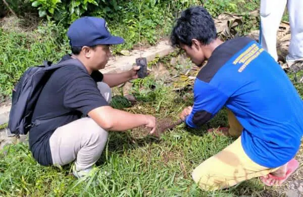 Ciptakan Wisata Sirsak, Pemdes Karangpring Tanam 1000 Pohon Sepanjang Jalan