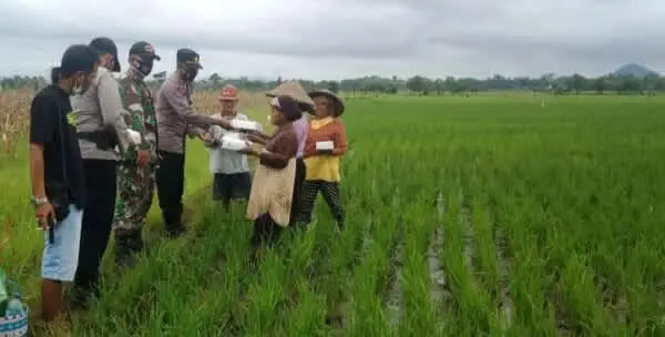 TNI – Polri Turun ke Sawah Temui Petani
