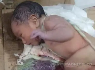 Bayi Cantik Terbungkus Plastik Ditemukan Warga  di Kebun Tebu