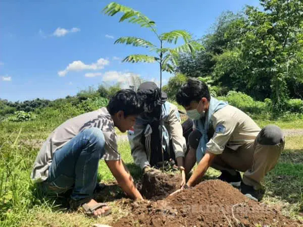 Mapala Jember Tanam 1000 Pohon Dan Donor Darah Di Hari Bumi Sedunia