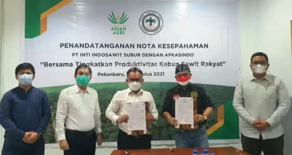 Tingkat Produksivitas KSR, DPP Apkasindo MoU Dengan Inti Indosawit Subur