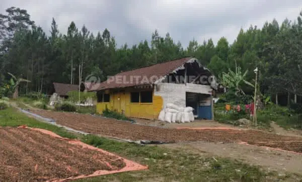 Dusun Terisolir Slerok Menuju Kepunahannya