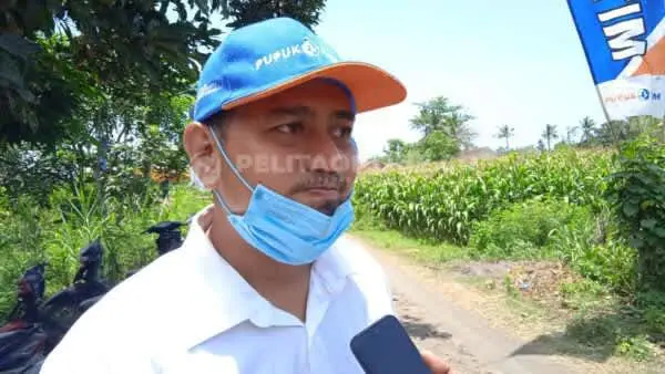 PT Pupuk Kaltim Sudah Tidak Lagi Distribusikan Pupuk Subsidi di Jatim, Ini Alasannya