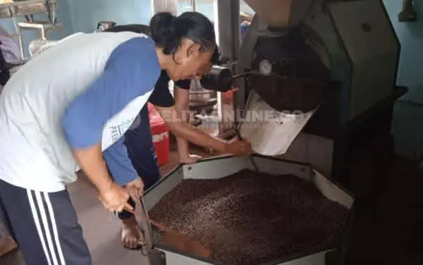 Kopi Robusta Sidomulyo Sudah Bertaraf Internasional