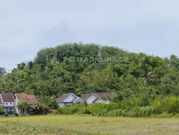 Ada Backing di Penambangan Emas Liar Jenggawah ?