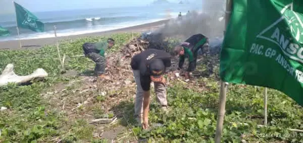 Peringati Harlah, GP Ansor Se – Jember Serentak   Gelar Bersih – Bersih Lingkungan